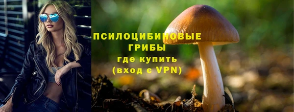первитин Армянск