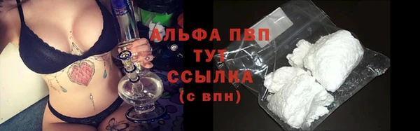 хмурый Сатка