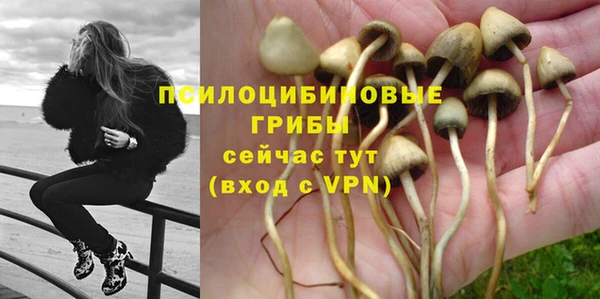 первитин Армянск